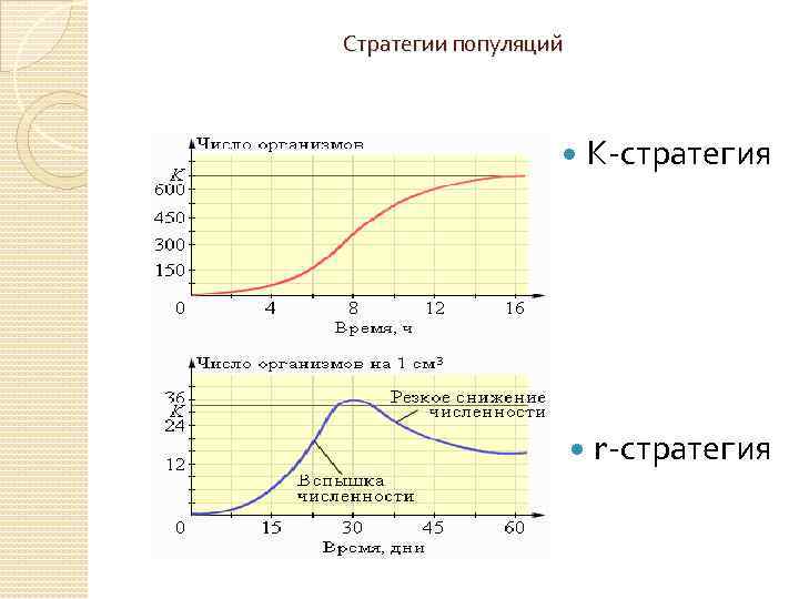 Стратегии популяций К стратегия r стратегия 