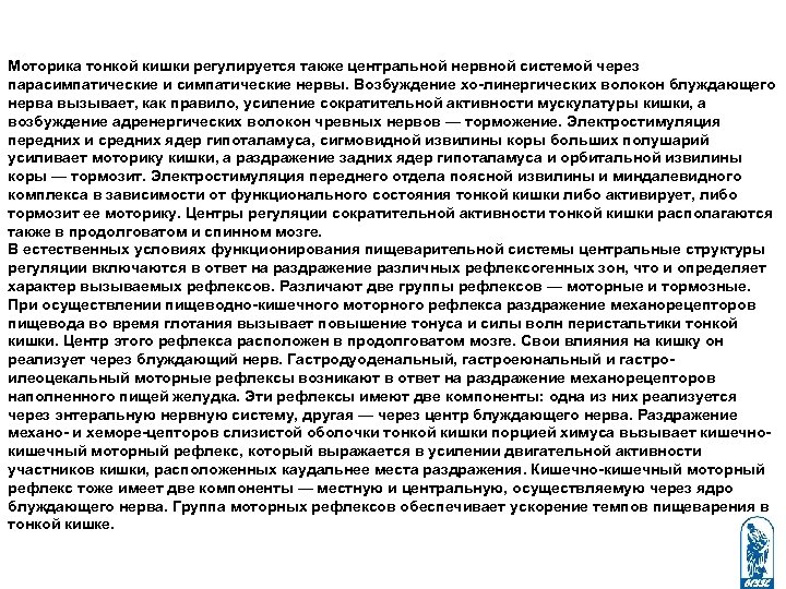 Моторика тонкой кишки регулируется также центральной нервной системой через парасимпатические и симпатические нервы. Возбуждение