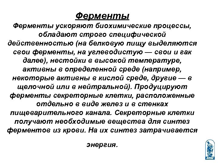 Ферменты ускоряют биохимические процессы, обладают строго специфической действенностью (на белковую пищу выделяются свои ферменты,
