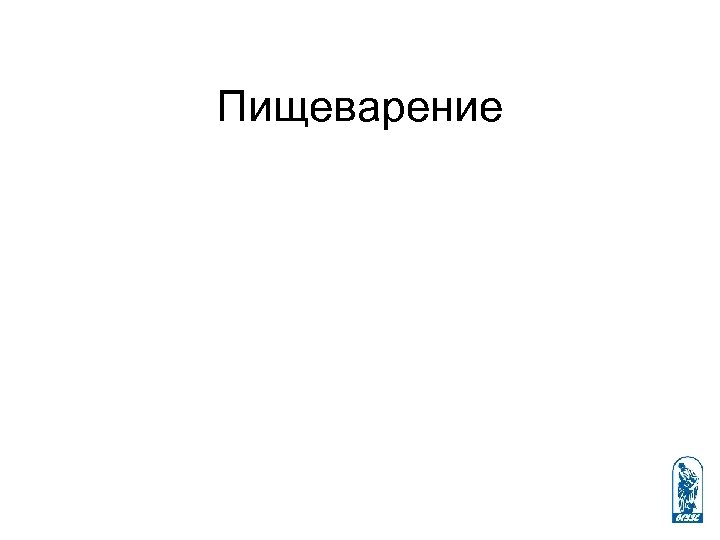 Пищеварение 