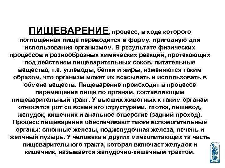 ПИЩЕВАРЕНИЕ, процесс, в ходе которого поглощенная пища переводится в форму, пригодную для использования организмом.