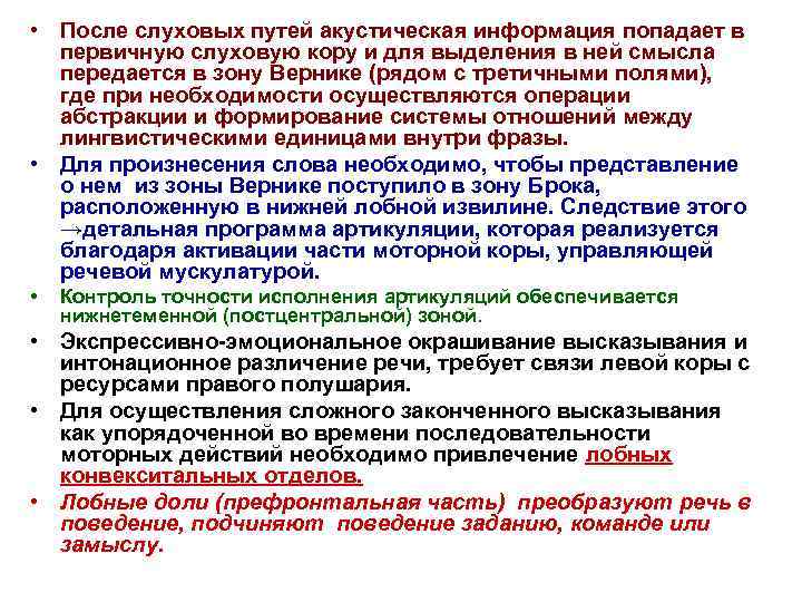  • После слуховых путей акустическая информация попадает в первичную слуховую кору и для