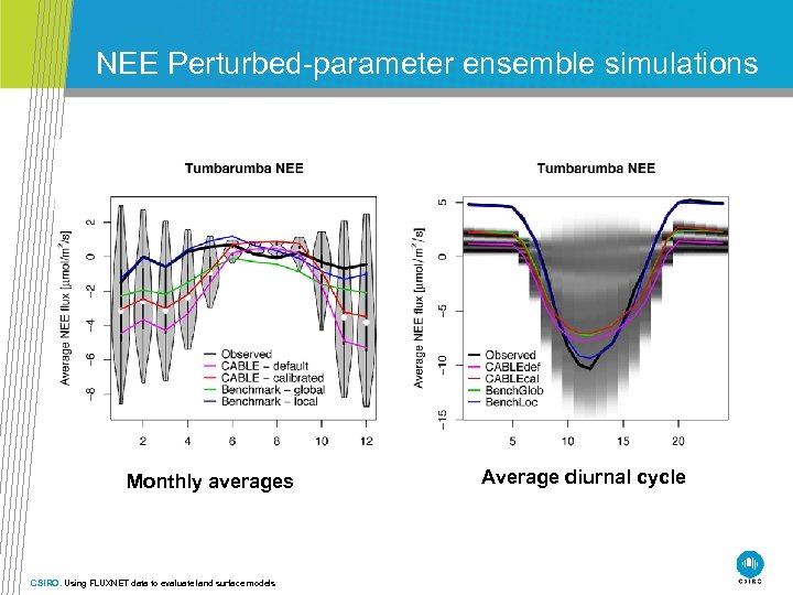 NEE Perturbed-parameter ensemble simulations Monthly averages CSIRO. Using FLUXNET data to evaluate land surface