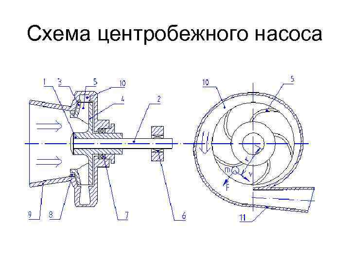 Схема центробежного насоса 