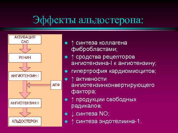 Эффекты альдостерона: l l l l ↑ синтеза коллагена фибробластами; ↑ сродства рецепторов ангиотензина-I