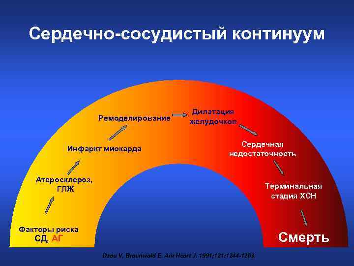 Сердечно-сосудистый континуум Ремоделирование Инфаркт миокарда Дилатация желудочков Сердечная недостаточность Атеросклероз, ГЛЖ Терминальная стадия ХСН