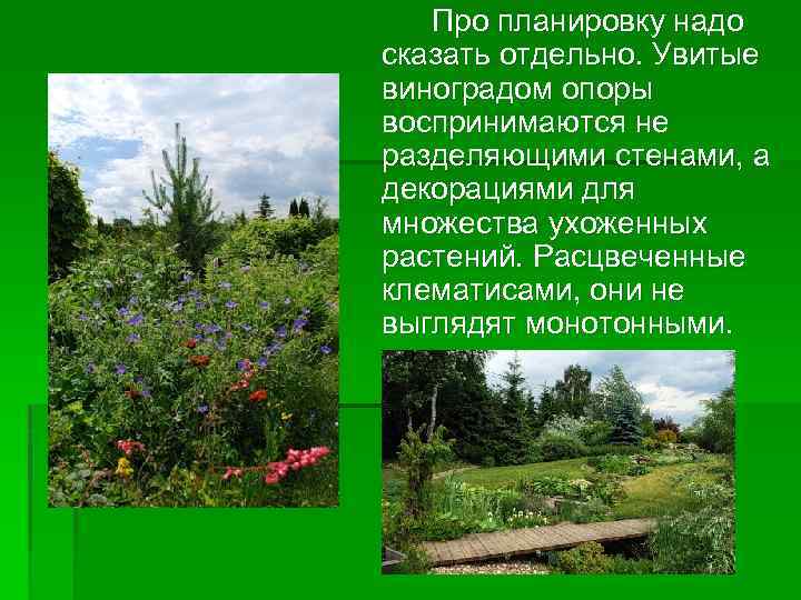 Про планировку надо сказать отдельно. Увитые виноградом опоры воспринимаются не разделяющими стенами, а декорациями