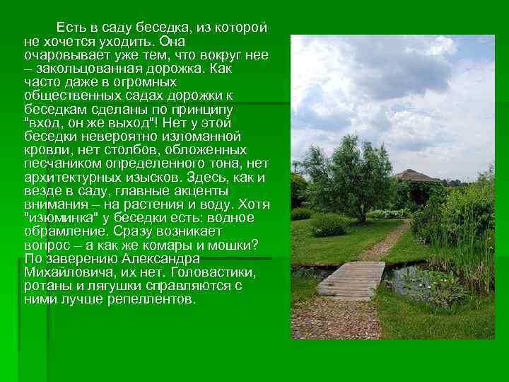 Есть в саду беседка, из которой не хочется уходить. Она очаровывает уже тем, что