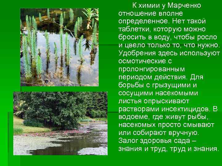 К химии у Марченко отношение вполне определенное. Нет такой таблетки, которую можно бросить в