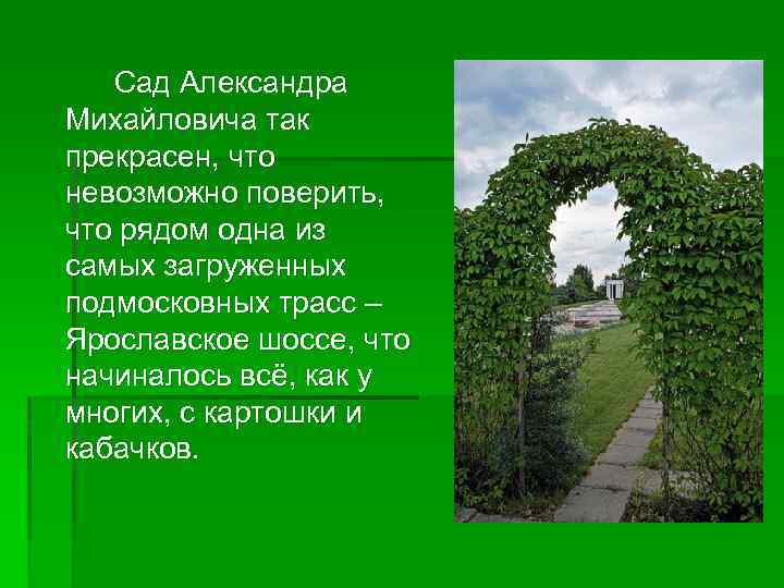 Сад Александра Михайловича так прекрасен, что невозможно поверить, что рядом одна из самых загруженных