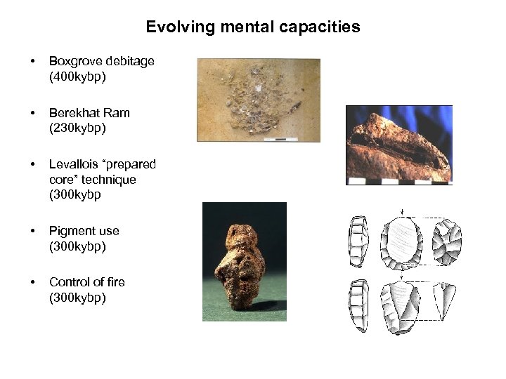 Evolving mental capacities • Boxgrove debitage (400 kybp) • Berekhat Ram (230 kybp) •