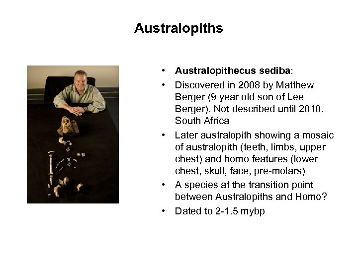 Australopiths • Australopithecus sediba: • Discovered in 2008 by Matthew Berger (9 year old