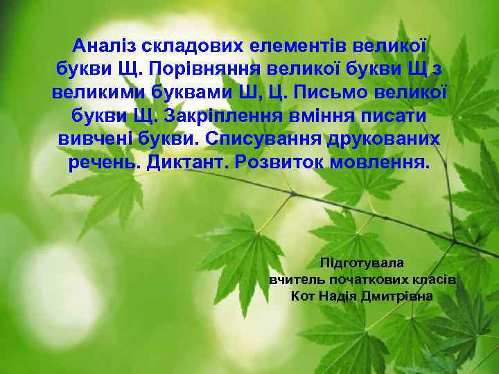 Аналіз складових елементів великої букви Щ. Порівняння великої букви Щ з великими буквами Ш,