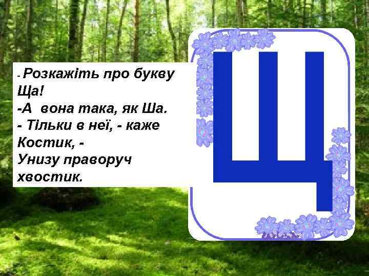 - Розкажіть про букву Ща! -А вона така, як Ша. - Тільки в неї,