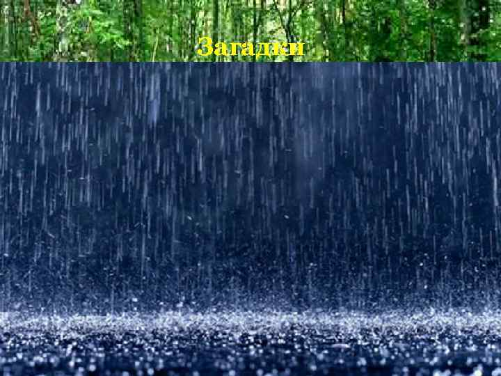 Загадки 