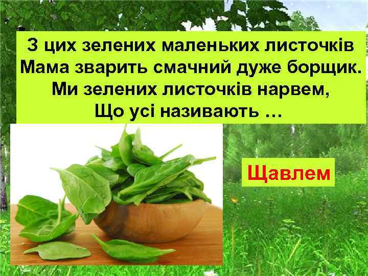 З цих зелених маленьких листочків Мама зварить смачний дуже борщик. Ми зелених листочків нарвем,