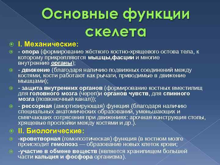 Основные функции скелета I. Механические: опора (формирование жёсткого костно хрящевого остова тела, к которому