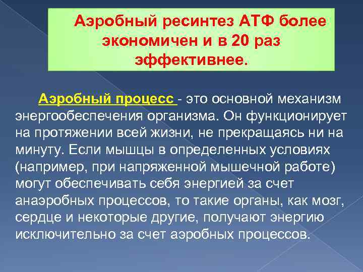 Аэробный ресинтез АТФ более экономичен и в 20 раз эффективнее. Аэробный процесс это основной