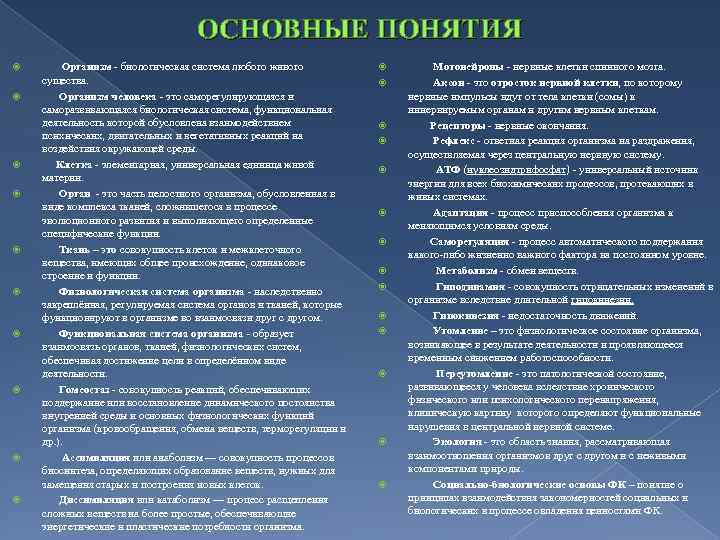 ОСНОВНЫЕ ПОНЯТИЯ Организм - биологическая система любого живого существа. Организм человека - это саморегулирующаяся