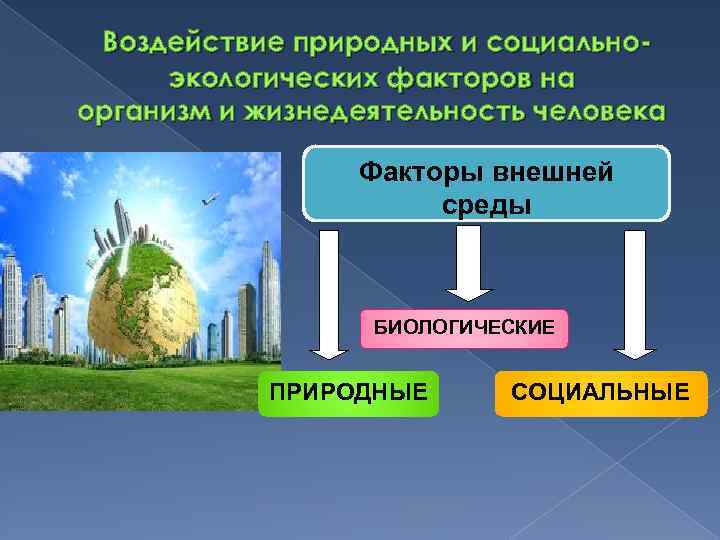 Воздействия этого природного средства. Природные факторы внешней среды. Воздействие внешней среды на организм. Природная среда. Воздействие природных факторов на дорогу.