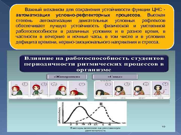 Важный механизм для сохранения устойчивости функции ЦНС автоматизация условно-рефлекторных процессов. Высокая степень автоматизации двигательных