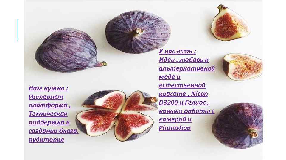 Нам нужно : Интернет платформа , Техническая поддержка в создании блога, аудитория У нас