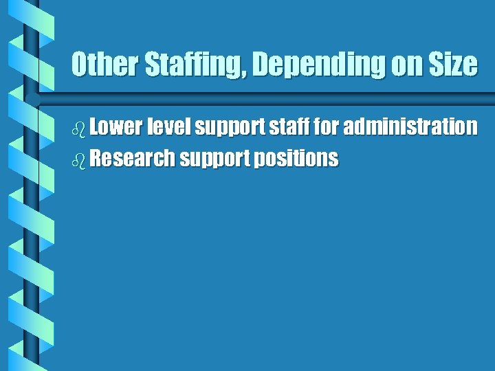 Other Staffing, Depending on Size b Lower level support staff for administration b Research