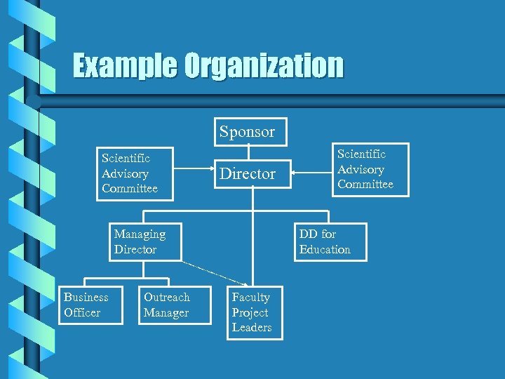 Example Organization Sponsor Scientific Advisory Committee Director Managing Director Business Officer Outreach Manager Scientific