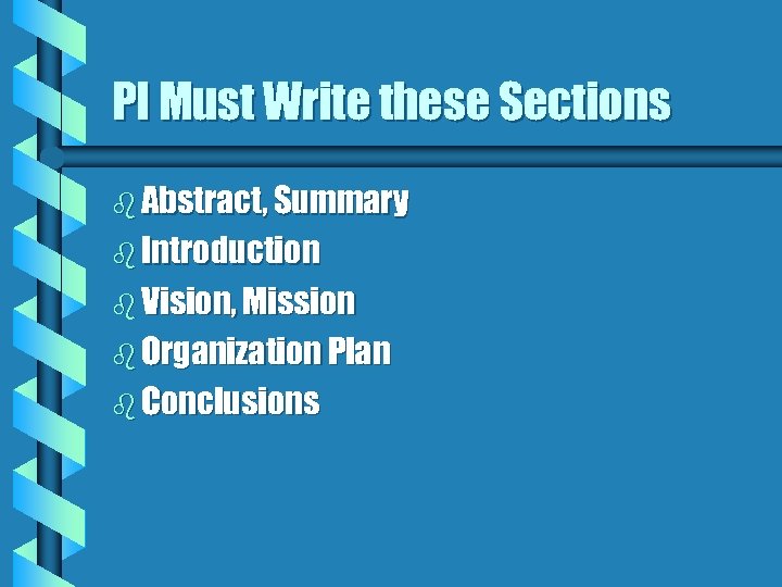 PI Must Write these Sections b Abstract, Summary b Introduction b Vision, Mission b