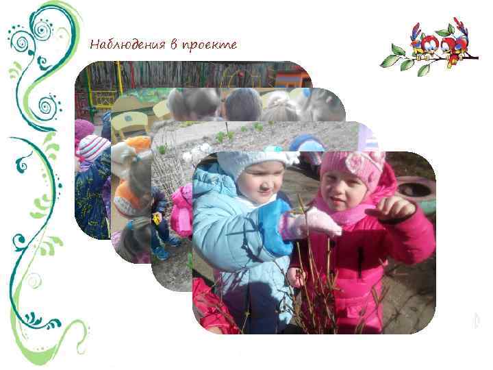 Наблюдения в проекте 