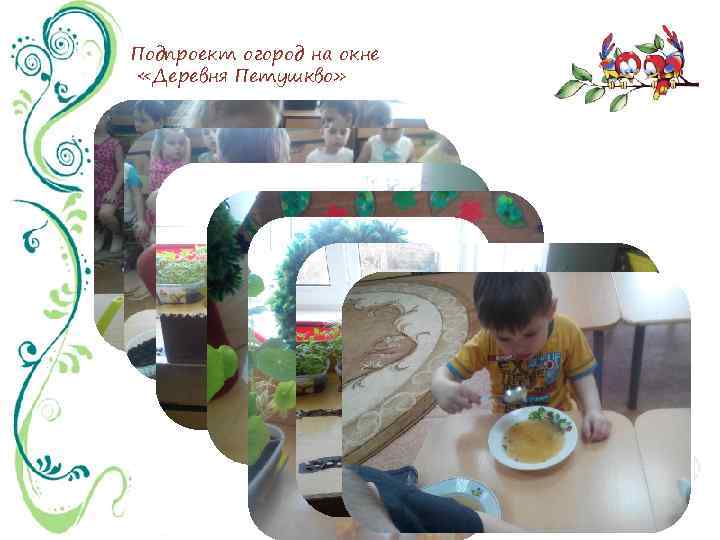 Подпроект огород на окне «Деревня Петушкво» 