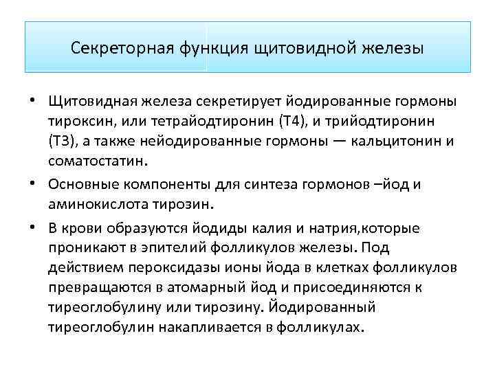 Секреторная функция щитовидной железы • Щитовидная железа секретирует йодированные гормоны тироксин, или тетрайодтиронин (Т