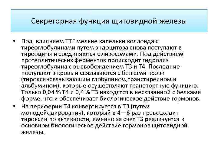 Секреторная функция щитовидной железы • Под влиянием ТТГ мелкие капельки коллоида с тиреоглобулинами путем