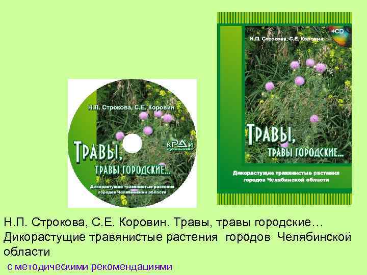 Н. П. Строкова, С. Е. Коровин. Травы, травы городские… Дикорастущие травянистые растения городов Челябинской