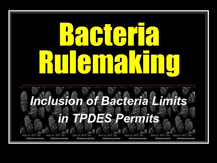 Bacteria Rulemaking Inclusion of Bacteria Limits in TPDES Permits 