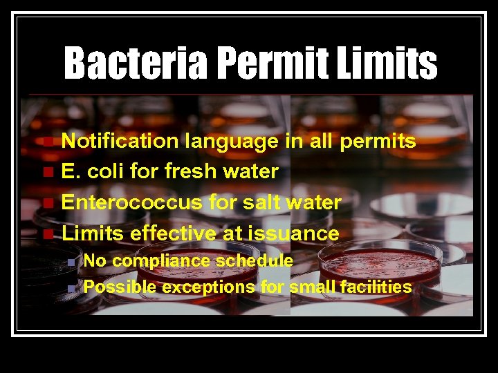 Bacteria Permit Limits Notification language in all permits n E. coli for fresh water