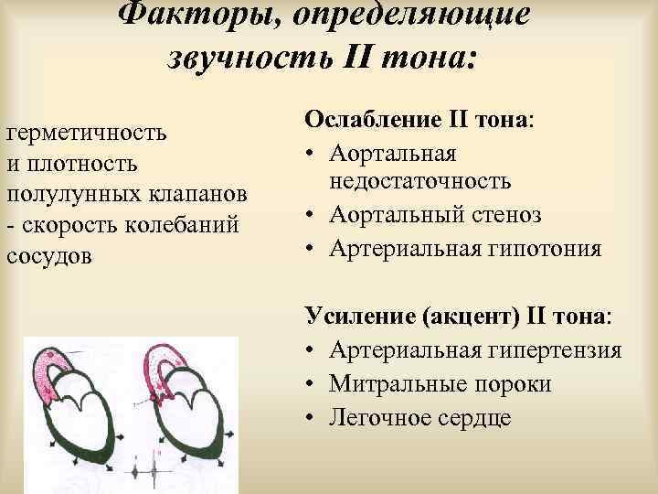 Факторы, определяющие звучность II тона: герметичность и плотность полулунных клапанов - скорость колебаний сосудов