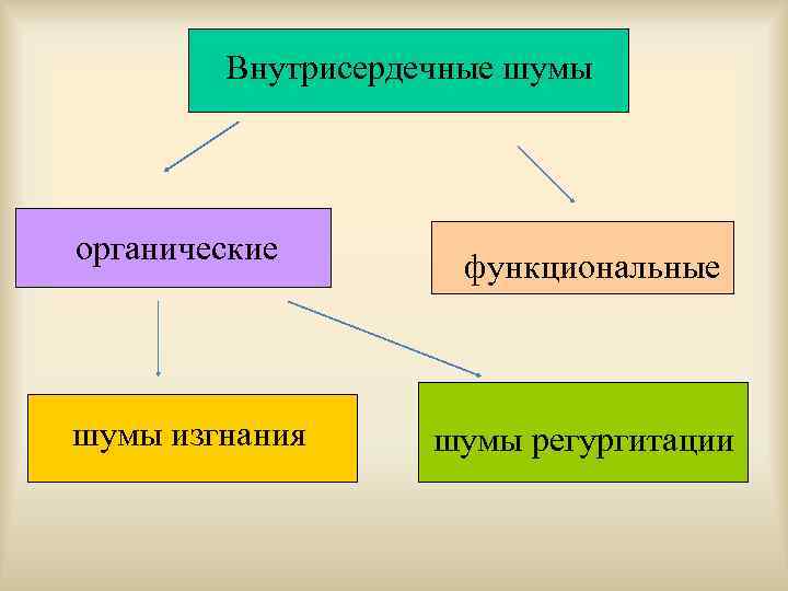 Внутрисердечные шумы органические шумы изгнания функциональные шумы регургитации 