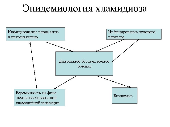 Хламидиоз статистика. Эпидемиология хламидиоза. Эпидемиология хламидий. Распространенность хламидиоза. Распространенность хламидийной инфекции.