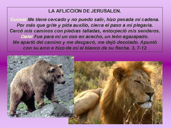 LA AFLICCION DE JERUSALEN. Guímel Me tiene cercado y no puedo salir, hizo pesada