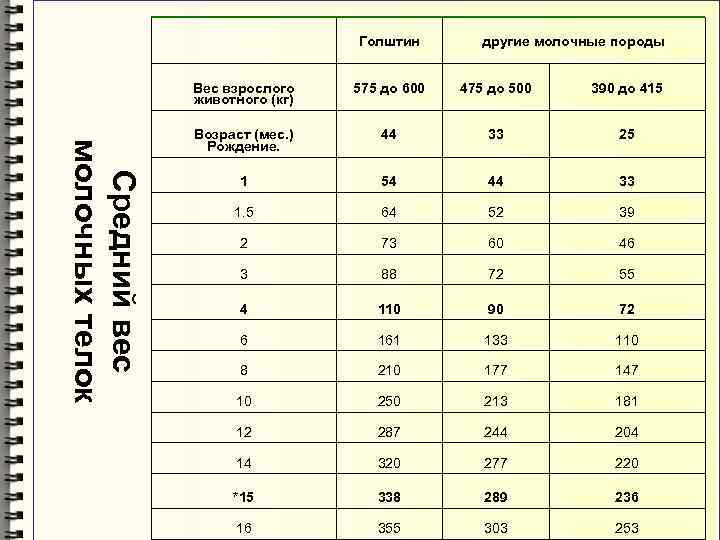Голштин Вес взрослого животного (кг) Средний вес молочных телок другие молочные породы 575 до