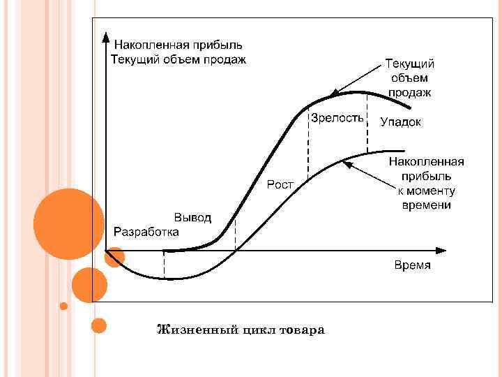 Жизненный цикл товара 