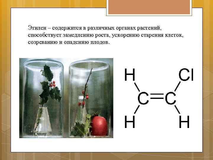 Газообразный этилен. Этилен фитогормон функции. Этилен фитогормон растений. Влияние этилена на растения. Этилен гормон.
