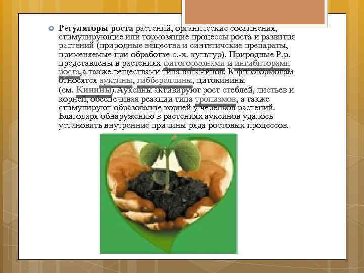 В тихий час когда света еще не зажигали и по углам палаты схема предложения