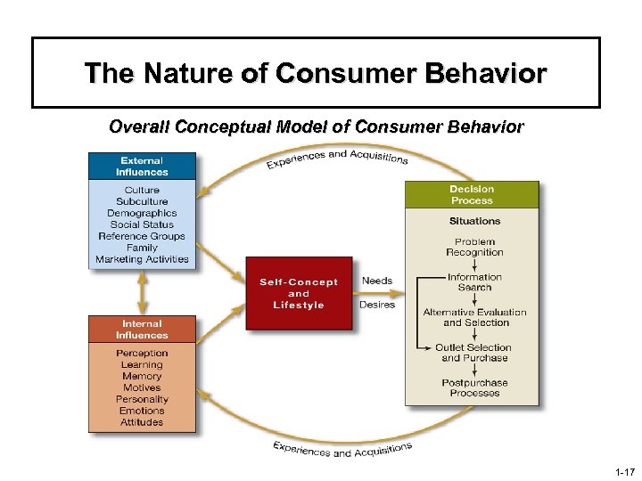 The Nature of Consumer Behavior Overall Conceptual Model of Consumer Behavior 1 -17 