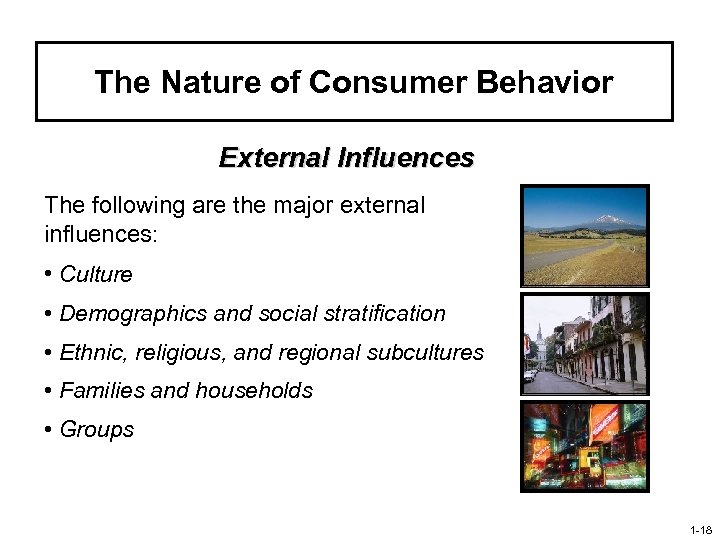 The Nature of Consumer Behavior External Influences The following are the major external influences: