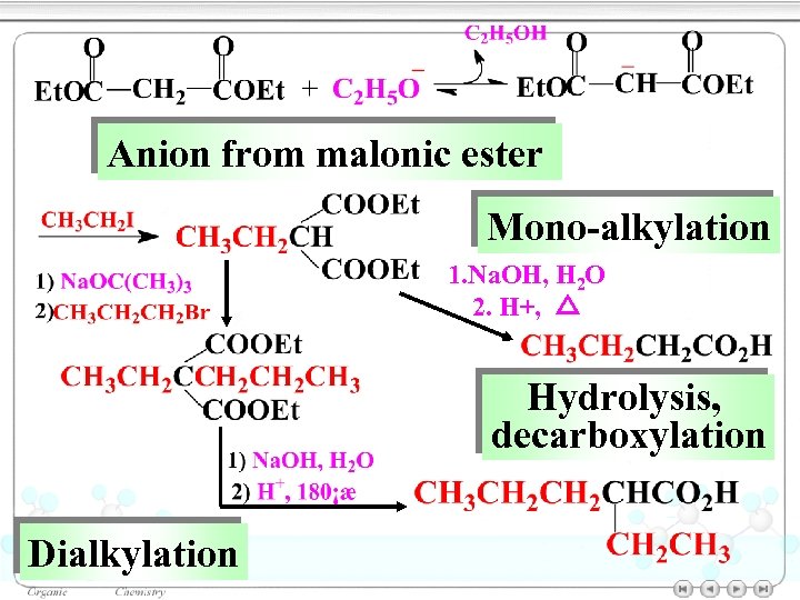 Anion from malonic ester Mono-alkylation 1. Na. OH, H 2 O 2. H+, △