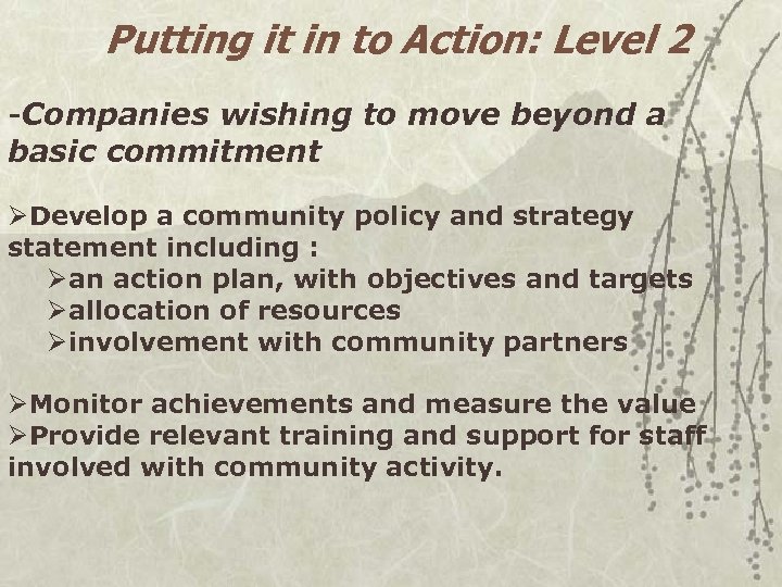 Putting it in to Action: Level 2 -Companies wishing to move beyond a basic