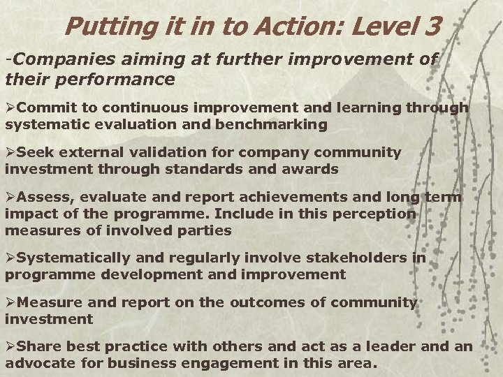 Putting it in to Action: Level 3 -Companies aiming at further improvement of their