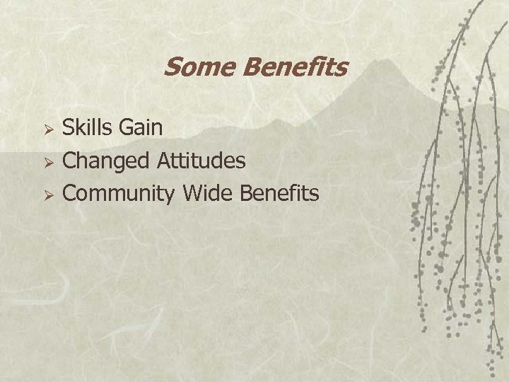 Some Benefits Ø Ø Ø Skills Gain Changed Attitudes Community Wide Benefits 